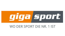 Logo Gigasport, Kunde von Werner Schandor